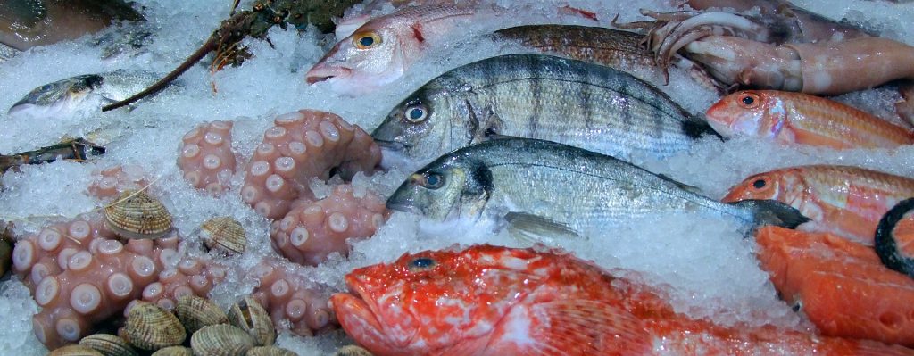 Cómo conservar el pescado y el marisco fresco en casa - Victor Pescados